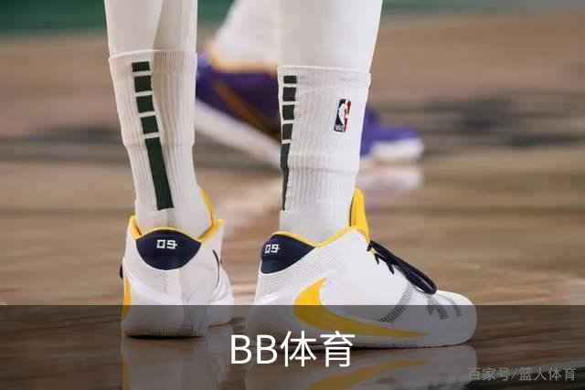 BB体育公司介绍图